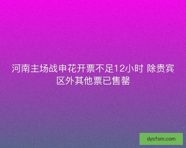 河南主场战申花开票不足12小时 除贵宾区外其他票已售罄
