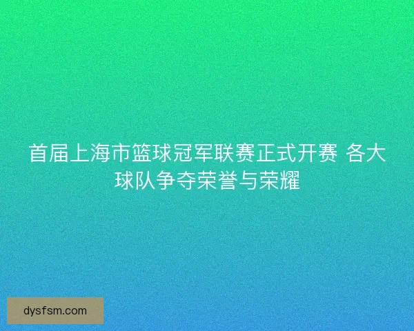 首届上海市篮球冠军联赛正式开赛 各大球队争夺荣誉与荣耀