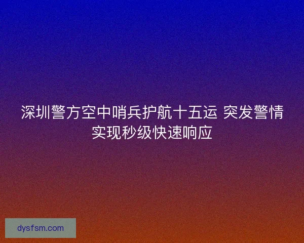 深圳警方空中哨兵护航十五运 突发警情实现秒级快速响应