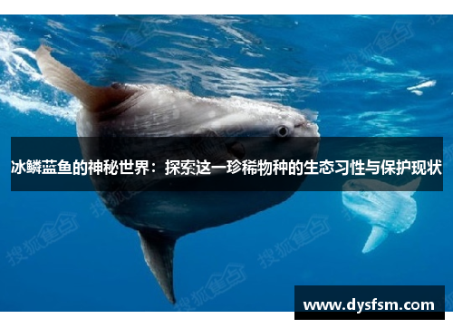 冰鳞蓝鱼的神秘世界：探索这一珍稀物种的生态习性与保护现状